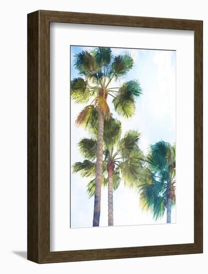 Palmetto II-Ryan Hartson-Weddle-Framed Photographic Print