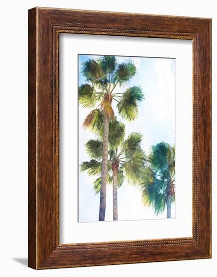 Palmetto II-Ryan Hartson-Weddle-Framed Photographic Print