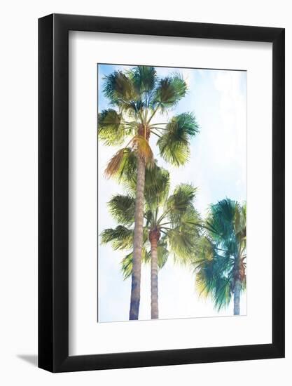 Palmetto II-Ryan Hartson-Weddle-Framed Photographic Print