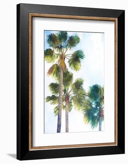 Palmetto II-Ryan Hartson-Weddle-Framed Photographic Print