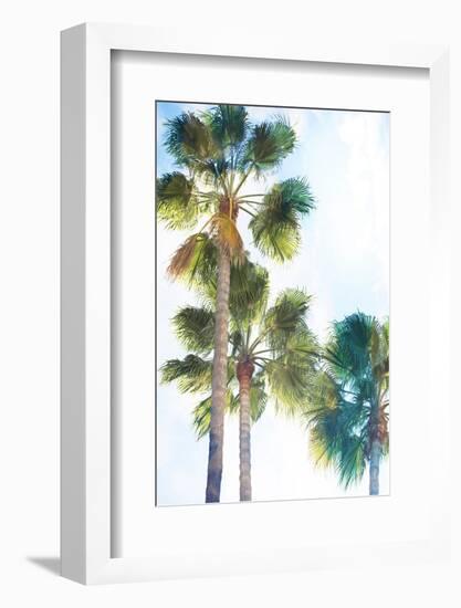 Palmetto II-Ryan Hartson-Weddle-Framed Photographic Print