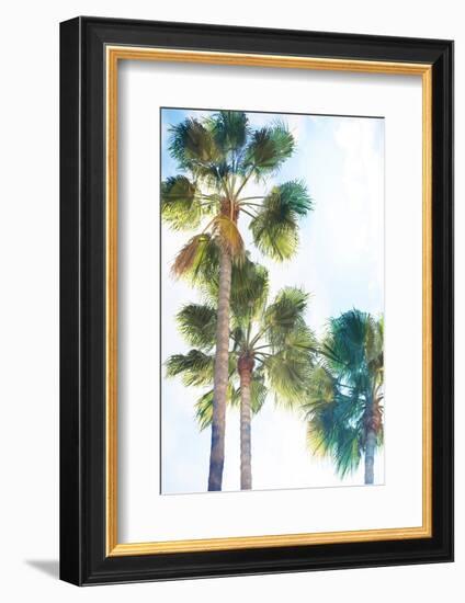 Palmetto II-Ryan Hartson-Weddle-Framed Photographic Print