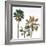 Palmetto III-Ryan Hartson-Weddle-Framed Photographic Print