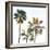 Palmetto III-Ryan Hartson-Weddle-Framed Photographic Print