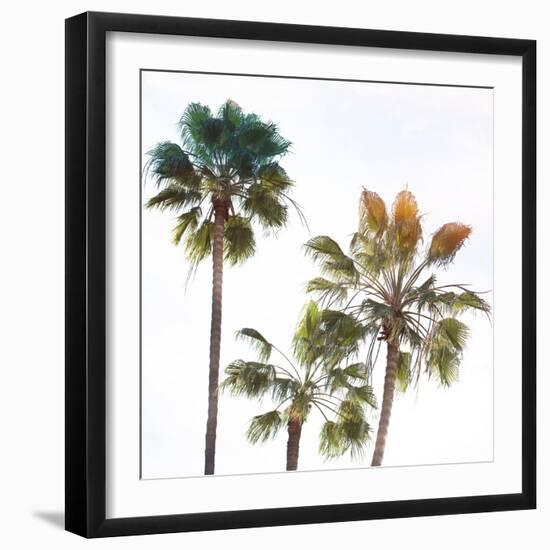 Palmetto III-Ryan Hartson-Weddle-Framed Photographic Print