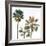 Palmetto III-Ryan Hartson-Weddle-Framed Photographic Print