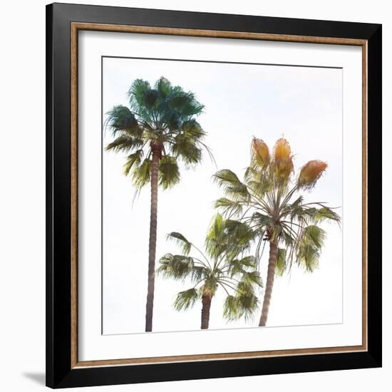 Palmetto III-Ryan Hartson-Weddle-Framed Photographic Print