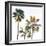 Palmetto III-Ryan Hartson-Weddle-Framed Photographic Print