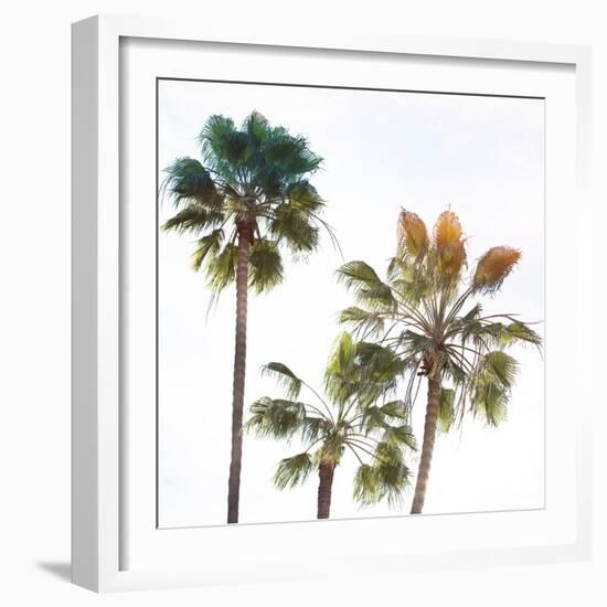 Palmetto III-Ryan Hartson-Weddle-Framed Photographic Print