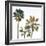 Palmetto III-Ryan Hartson-Weddle-Framed Photographic Print