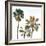 Palmetto III-Ryan Hartson-Weddle-Framed Photographic Print