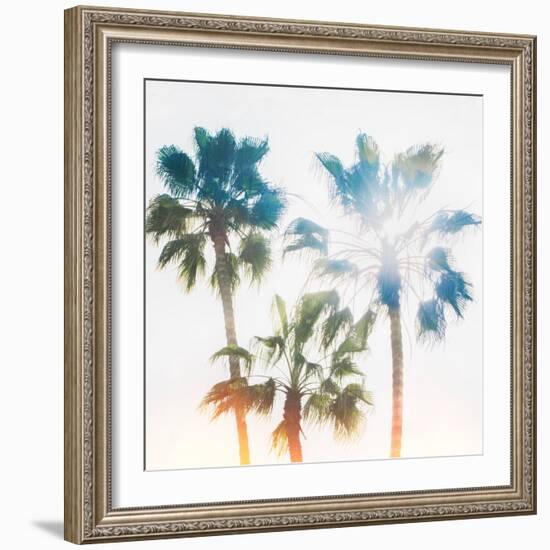 Palmetto IV-Ryan Hartson-Weddle-Framed Photographic Print