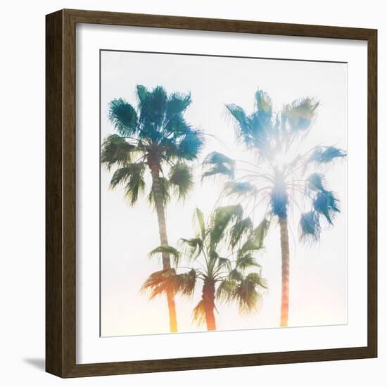 Palmetto IV-Ryan Hartson-Weddle-Framed Photographic Print