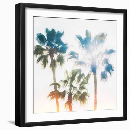 Palmetto IV-Ryan Hartson-Weddle-Framed Photographic Print