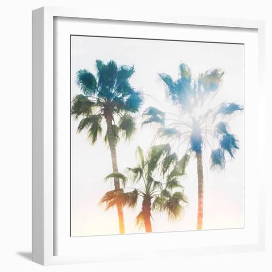 Palmetto IV-Ryan Hartson-Weddle-Framed Photographic Print