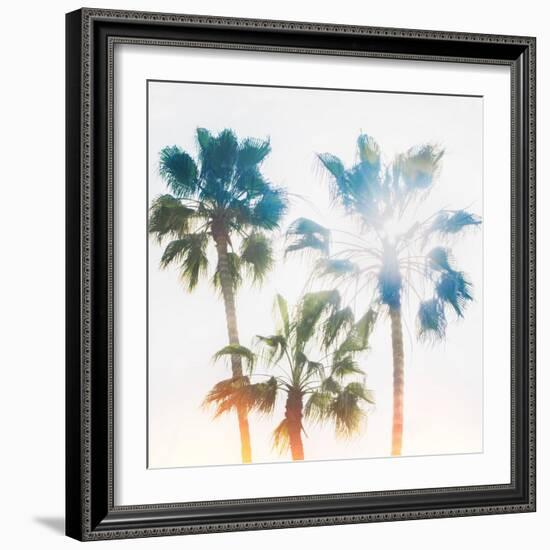 Palmetto IV-Ryan Hartson-Weddle-Framed Photographic Print