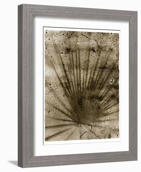 Palmetto Palm-John Kuss-Framed Giclee Print