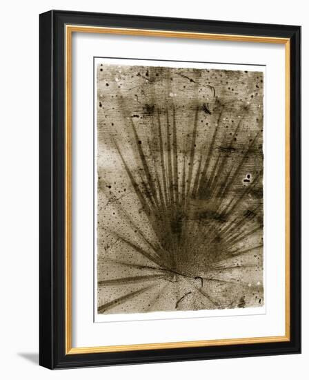 Palmetto Palm-John Kuss-Framed Giclee Print