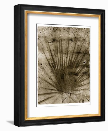 Palmetto Palm-John Kuss-Framed Giclee Print