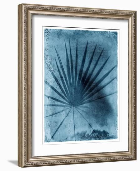 Palmetto Palm-John Kuss-Framed Photographic Print