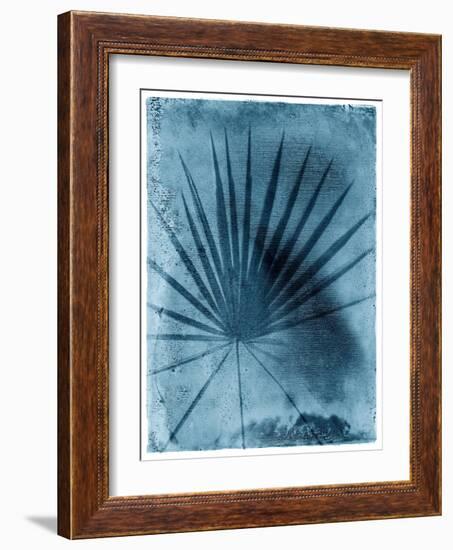 Palmetto Palm-John Kuss-Framed Photographic Print