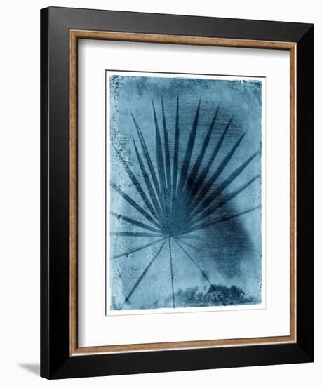 Palmetto Palm-John Kuss-Framed Photographic Print