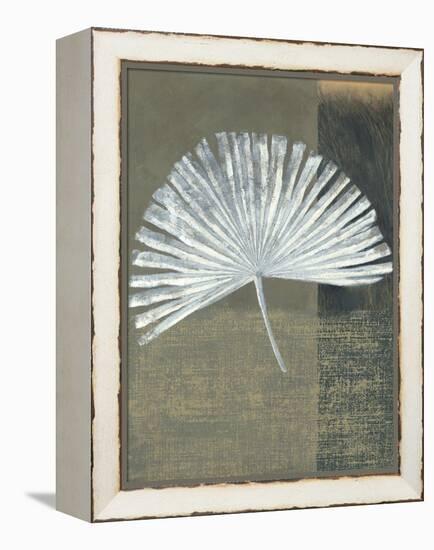 Palmetto-Steve Peterson-Framed Stretched Canvas