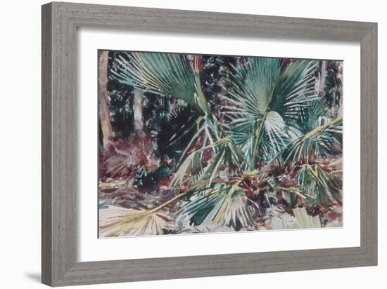 Palmettos, 1917-John Singer Sargent-Framed Giclee Print