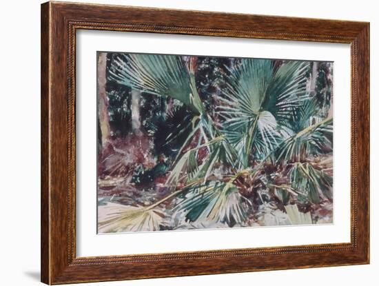 Palmettos, 1917-John Singer Sargent-Framed Giclee Print