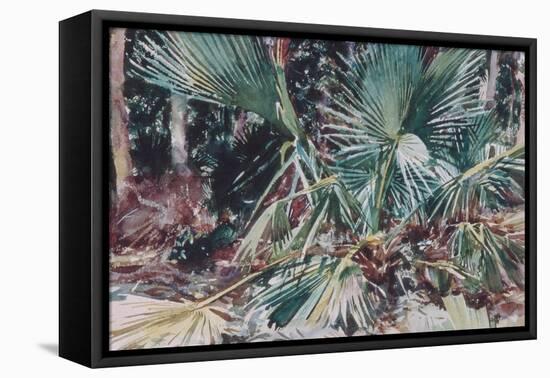 Palmettos, 1917-John Singer Sargent-Framed Premier Image Canvas