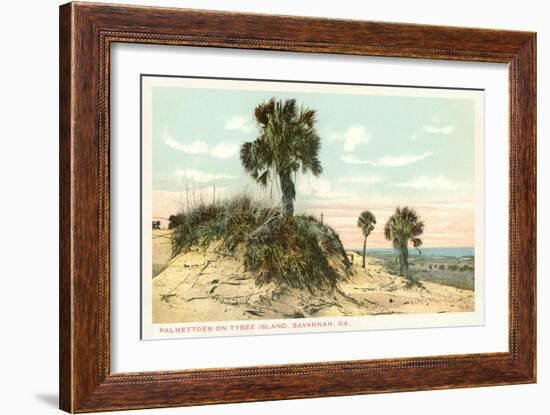 Palmettos, Tybee Island, Savannah, Georgia-null-Framed Art Print