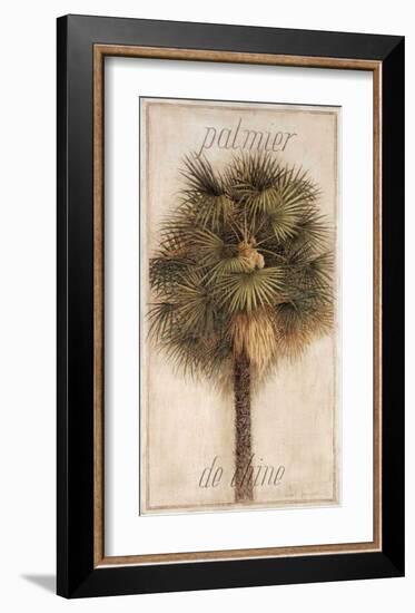 Palmier de Chine-Vincent Jeannerot-Framed Art Print