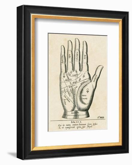 Palmistry: Palm Diagram-null-Framed Giclee Print