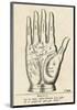 Palmistry: Palm Diagram-null-Mounted Giclee Print
