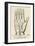 Palmistry: Palm Diagram-null-Framed Giclee Print