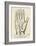 Palmistry: Palm Diagram-null-Framed Giclee Print