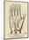 Palmistry: Palm Diagram-Vintage Reproduction-Mounted Art Print