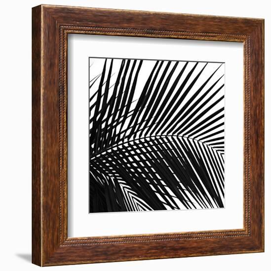 Palms 10 (detail)-Jamie Kingham-Framed Art Print