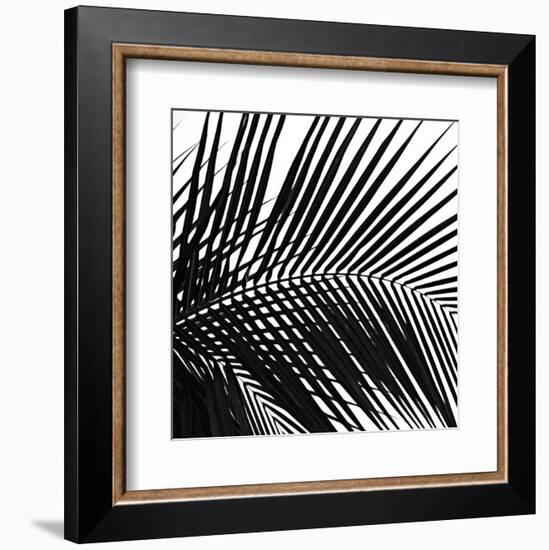 Palms 10 (detail)-Jamie Kingham-Framed Art Print