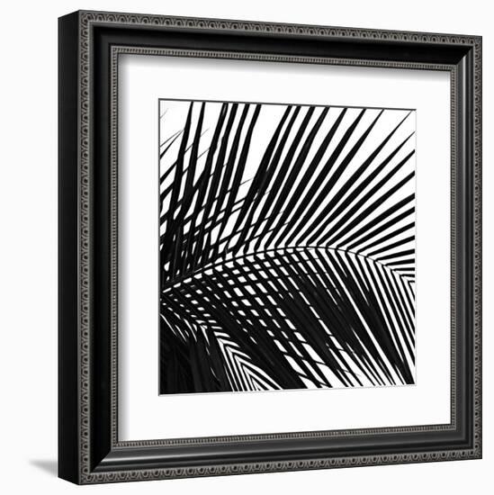 Palms 10 (detail)-Jamie Kingham-Framed Art Print