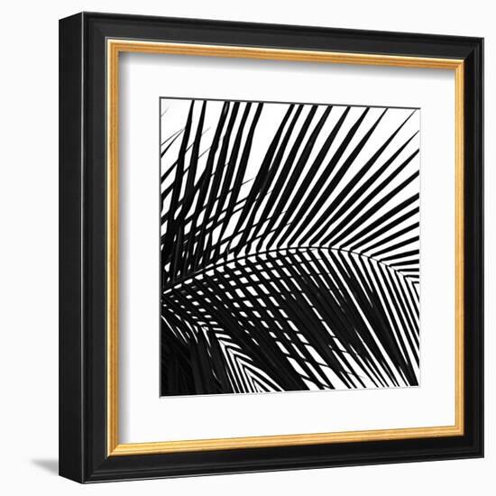 Palms 10 (detail)-Jamie Kingham-Framed Art Print