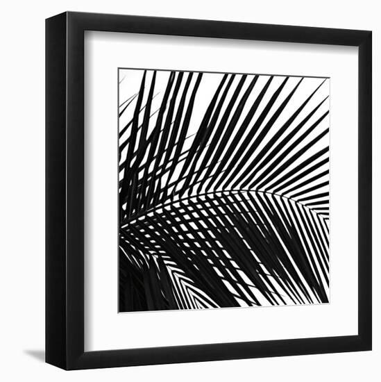 Palms 10 (detail)-Jamie Kingham-Framed Art Print