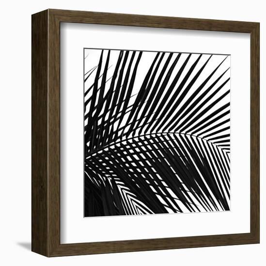 Palms 10 (detail)-Jamie Kingham-Framed Art Print