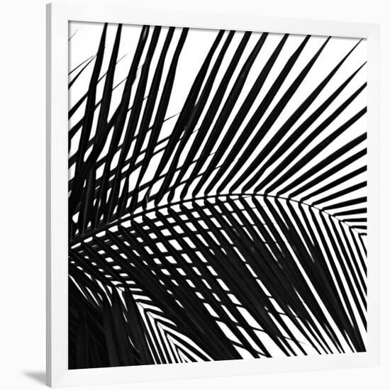 Palms 10 (detail)-Jamie Kingham-Framed Giclee Print