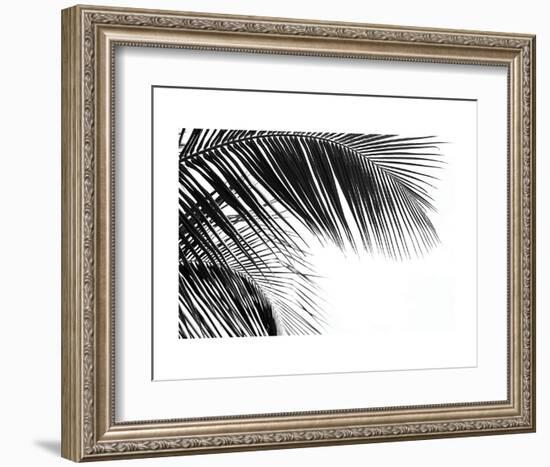 Palms 11-Jamie Kingham-Framed Art Print