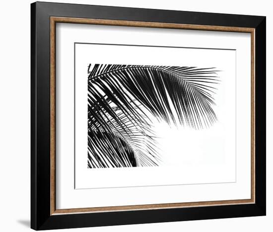 Palms 11-Jamie Kingham-Framed Art Print