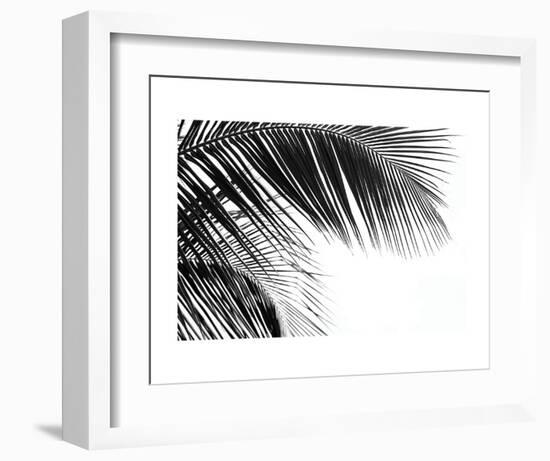 Palms 11-Jamie Kingham-Framed Art Print