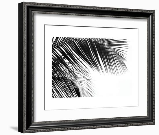 Palms 11-Jamie Kingham-Framed Art Print