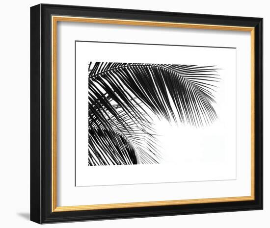 Palms 11-Jamie Kingham-Framed Art Print