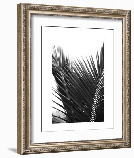 Palms 12-Jamie Kingham-Framed Art Print